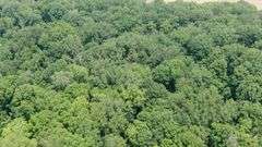 Absolute Richland County 223-Acre Farm Auction