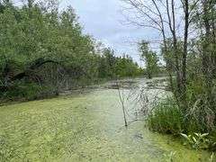 Richland County 54-Acre Absolute Land Auction