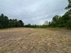 Richland County 54-Acre Absolute Land Auction