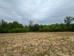 Richland County 54-Acre Absolute Land Auction