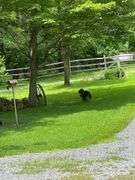 Stark County Sportsman's Dream Real Estate Auction