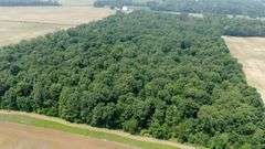 Absolute Richland County 223-Acre Farm Auction