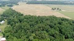 Absolute Richland County 223-Acre Farm Auction