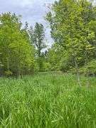 Richland County 54-Acre Absolute Land Auction