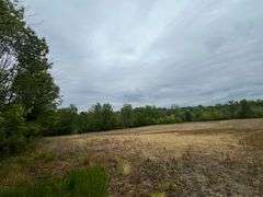 Richland County 54-Acre Absolute Land Auction