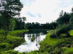 Stark County Sportsman's Dream Real Estate Auction