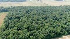 Absolute Richland County 223-Acre Farm Auction