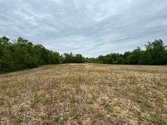 Richland County 54-Acre Absolute Land Auction