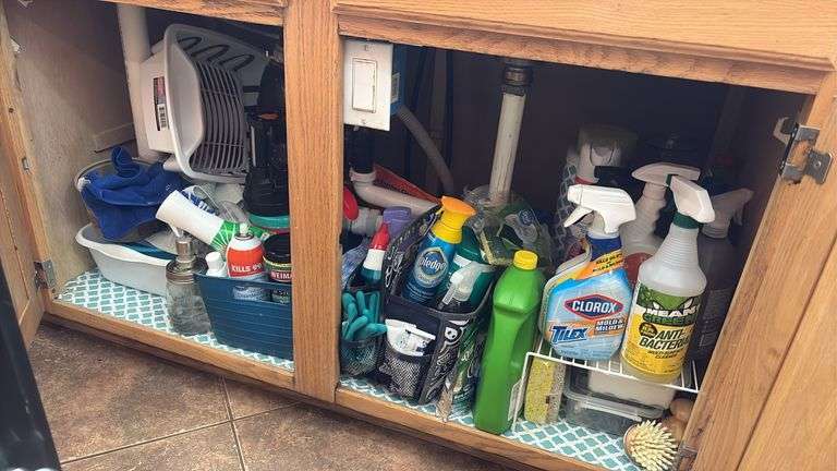 Assorted Cleaning Supplies