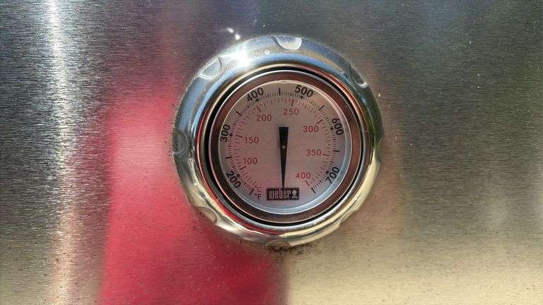 Weber Propane Grill