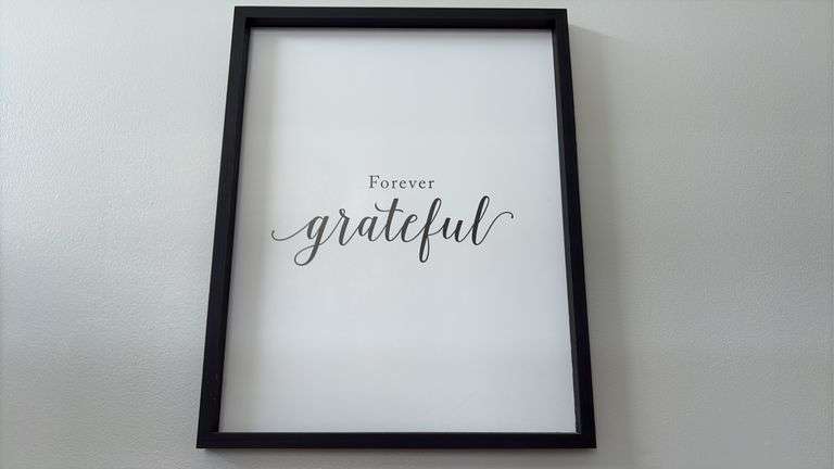 (3) 15" X 19” Picture Signs