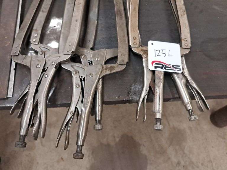 (6) Large Vice-Grips