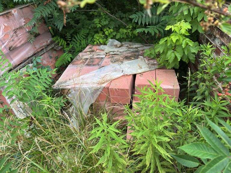 Assortment of Bricks