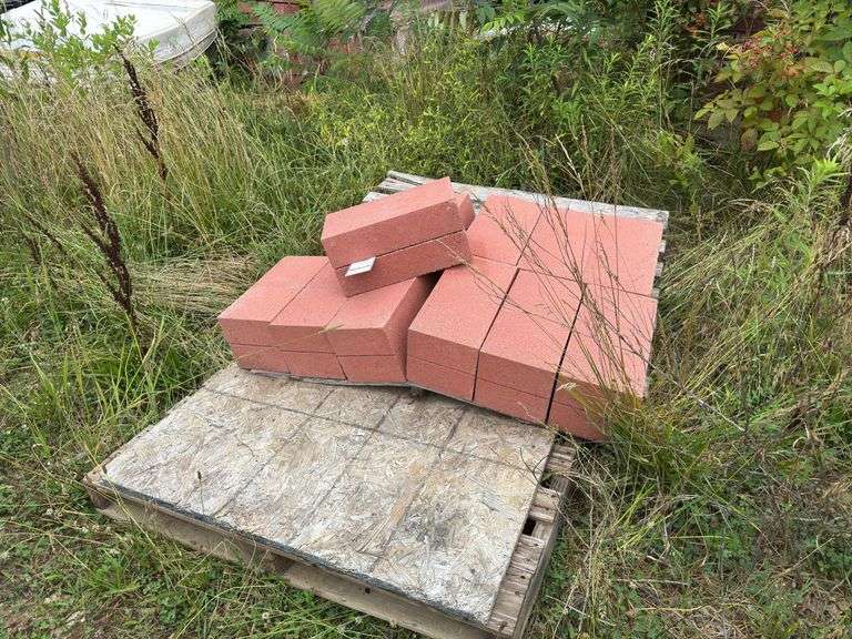Assortment of Bricks