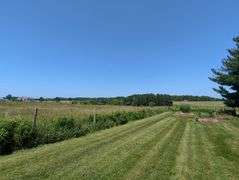  Ashtabula 111 - Acre Real Estate Auction