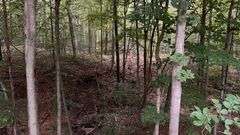Portage County Land Auction