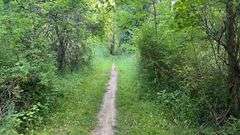 Wayne County 126.9-Acre Wooded Retreat Auction