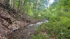 Wayne County 126.9-Acre Wooded Retreat Auction
