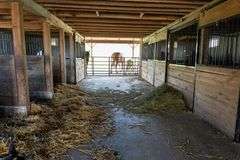 Byler 14.88 Acre Homestead Auction