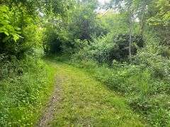 Wayne County 126.9-Acre Wooded Retreat Auction