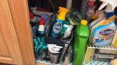 Assorted Cleaning Supplies