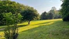 Wayne County 126.9-Acre Wooded Retreat Auction