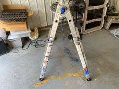 Werner Adjustable Ladder