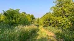Wayne County 126.9-Acre Wooded Retreat Auction