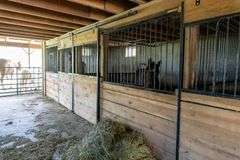 Byler 14.88 Acre Homestead
