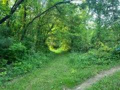 Wayne County 126.9-Acre Wooded Retreat Auction