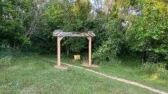 Wayne County 126.9-Acre Wooded Retreat Auction