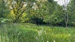 Wayne County 126.9-Acre Wooded Retreat Auction