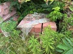 Assortment of Bricks