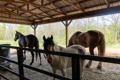 Byler 14.88 Acre Homestead