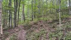 Wayne County 126.9-Acre Wooded Retreat Auction
