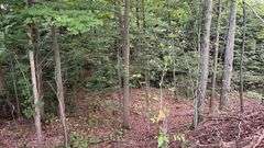 Portage County Land Auction