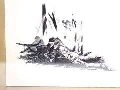 Colt  Battle of Belleau Woods Commemorative M1911  45 Acp  Semi Auto Pistol