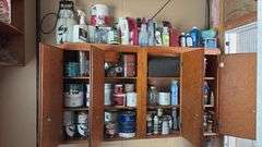 Misc. Paint & Cleaning Supplies