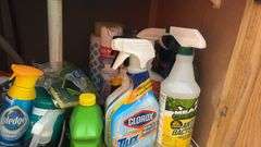 Assorted Cleaning Supplies