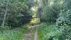 Wayne County 126.9-Acre Wooded Retreat Auction