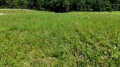 Superior Ashland County Absolute Commercial Land Online Only Auction