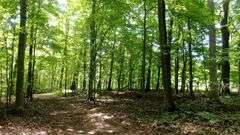 Great Ashland County Absolute Home & Land Auction