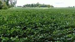 Great Ashland County Absolute Home & Land Auction
