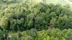Great Ashland County Absolute Home & Land Auction