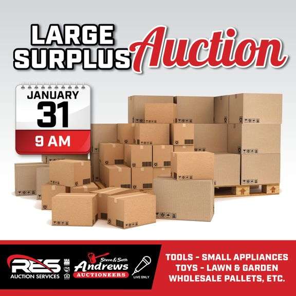 Large Surplus Auction