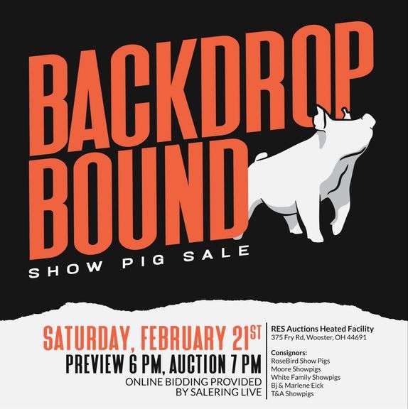 Backdrop Bound Show Pig Sale