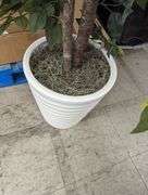 Artificial Potted Tree , Like New/Open Box