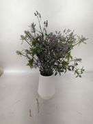 Decorative Artifical Plant , Visually Good Condition