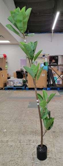 Artificial Plant | Open Box - Rio Grande Trade