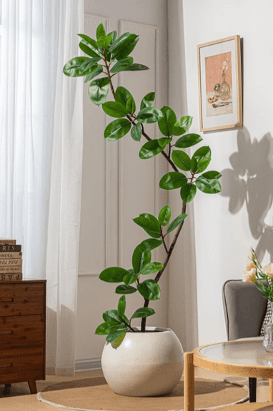 BAILIKANG Artificial Rubber Tree, 7.2' | Open Box